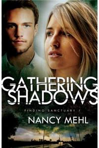 Gathering Shadows