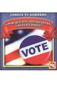¿Por Qué Son Importantes Las Elecciones? (Why Are Elections Important?)