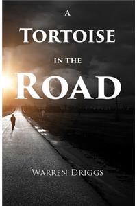 A Tortoise in the Road