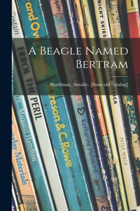 Beagle Named Bertram