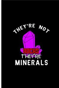 They're Not Rocks They're Minerals