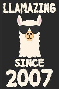 Llamazing Since 2007