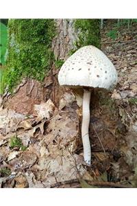 School Composition Book Forest Mushroom Tree Base