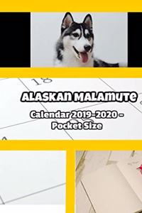 Alaskan Malamute Calendar 2019-2020 - Pocket Size