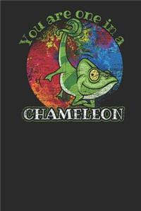You Are One in a Chameleon
