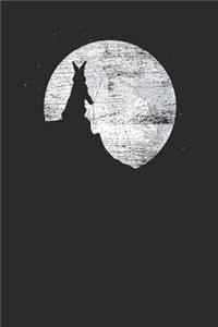 Rabbit Moon