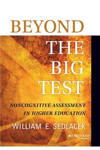 Beyond the Big Test