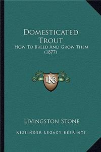 Domesticated Trout