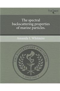 The Spectral Backscattering Properties of Marine Particles