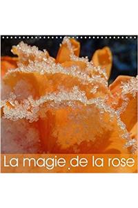 La Magie de la Rose 2017