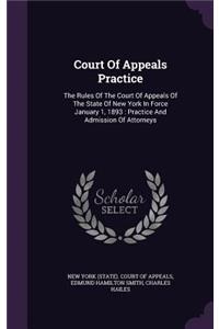 Court of Appeals Practice