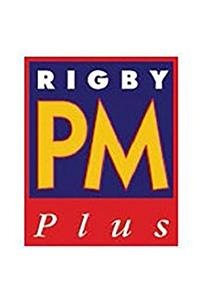 The Bear and the Bees