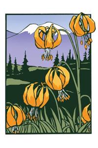 Tiger Lily