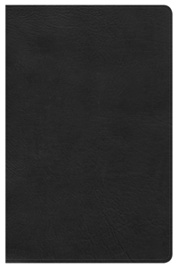 Large Print Ultrathin Reference Bible-KJV