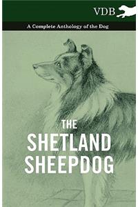 The Shetland Sheepdog - A Complete Anthology of the Dog