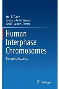 Human Interphase Chromosomes