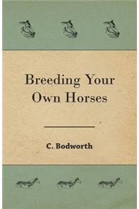 Breeding Your Own Horses