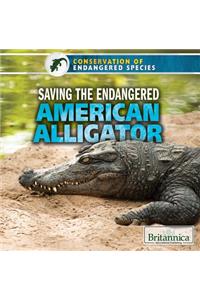 Saving the Endangered American Alligator