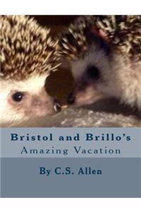 Bristol and Brillo's Amazing Vacation