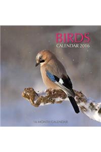 Birds Calendar 2016