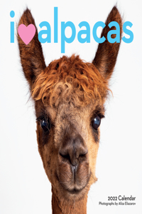 I Heart Alpacas Wall Calendar 2022