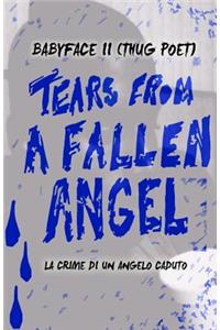 Tears From A Fallen Angel