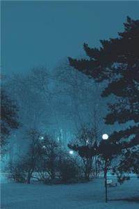 Frozen Night Park Journal