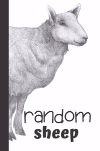 random sheep