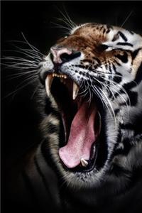 Save The Tiger 2020 Weekly Monthly Planner