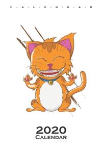 Cat with braces Calendar 2020: Annual Calendar for Cat and animal lovers