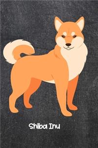 Shiba Inu