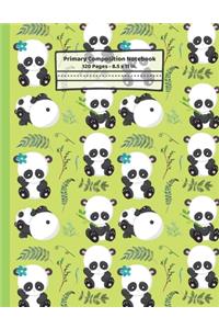 Pandas Primary Composition Notebook
