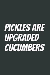 Pickles Are Upgraded Cucumbers