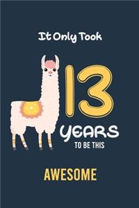 It Only Took 13 Years to be this Awesome