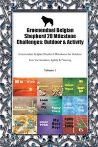 Groenendael Belgian Shepherd 20 Milestone Challenges