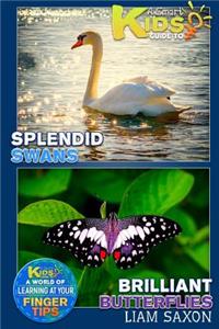 A Smart Kids Guide to Splendid Swans and Brilliant Butterflies