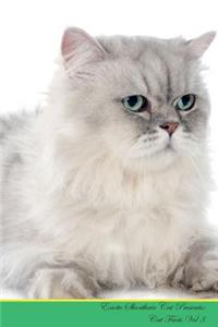 Exotic Shorthair Cat Presents