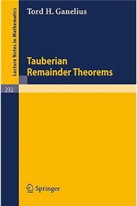 Tauberian Remainder Theorems