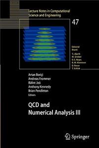 QCD and Numerical Analysis III