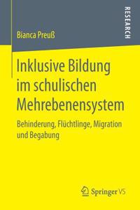 Inklusive Bildung im schulischen Mehrebenensystem