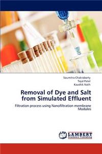 Removal of Dye and Salt from Simulated Effluent