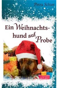 Ein Weihnachtshund auf Probe