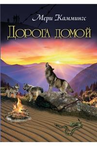 Дорога домой