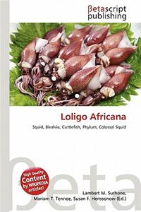 Loligo Africana