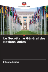 Secrétaire Général des Nations Unies