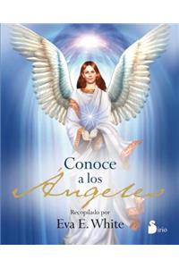 Conoce a Los Angeles