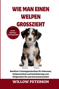 Wie man einen Welpen großzieht