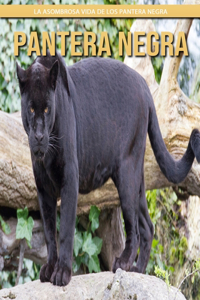 Pantera negra