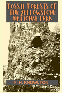 Fossil Forests of the Yellowstone National Park