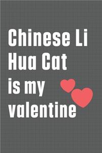 Chinese Li Hua Cat is my valentine